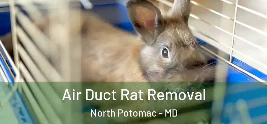  Air Duct Rat Removal North Potomac - MD