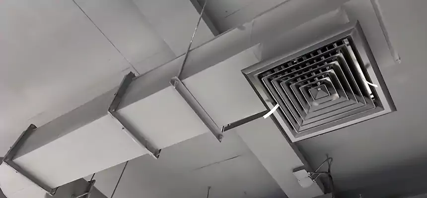 Our Pest Removal From Ducts Services in North Potomac, MD