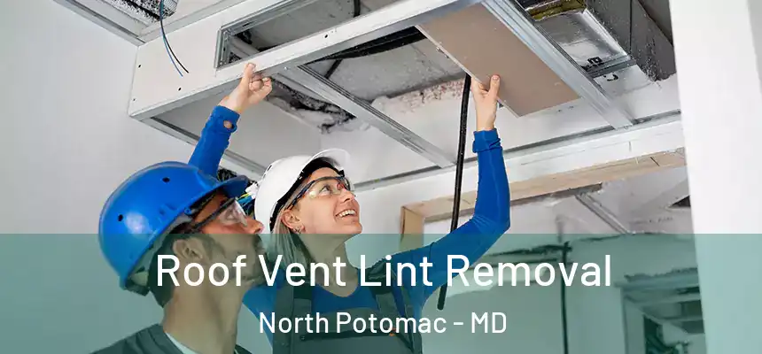 Roof Vent Lint Removal North Potomac - MD