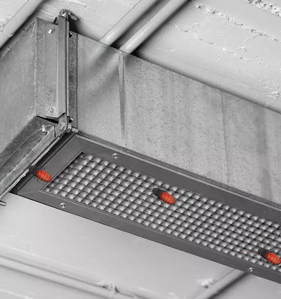 About Air Duct Cockroach Removal in North Potomac, MD