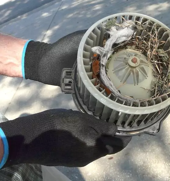 About Air Duct Mice Removal in North Potomac, MD