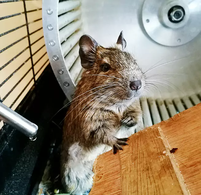 Why Homeowners & Businesses Trust Us North Potomac, MD