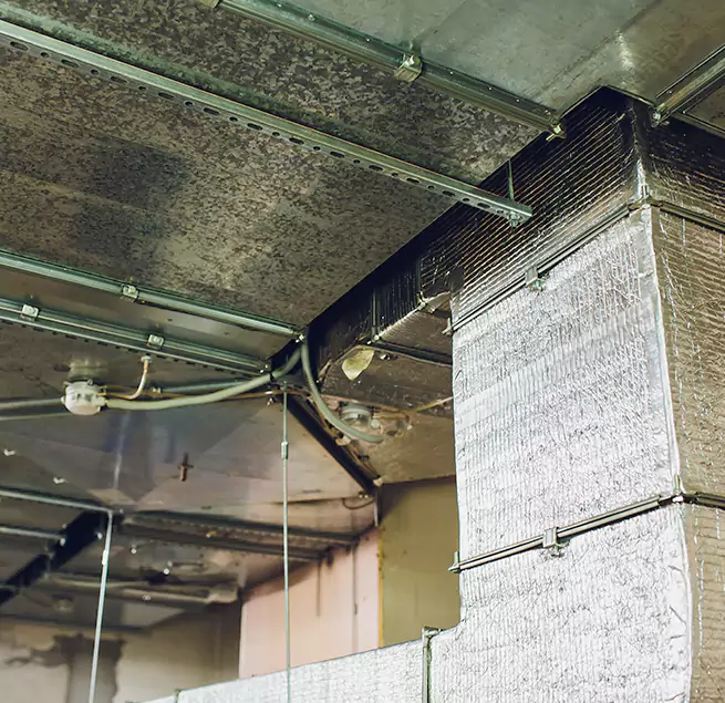 Why Homeowners & Businesses Trust Us in North Potomac, MD?